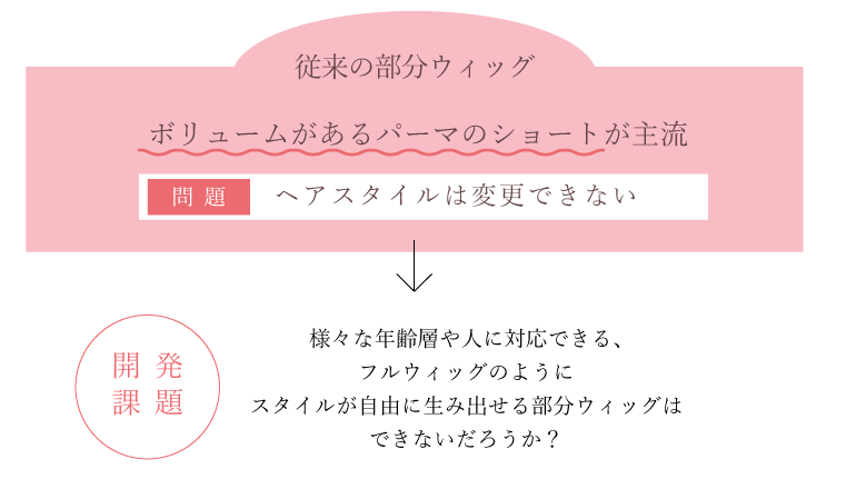 開発課題：様々な年齢層や人に対応できる、フルウィッグのようにスタイルが自由に生み出せる部分ウィッグはできないだろうか？