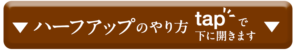 ウィッグアレンジハーフアップやり方を開く