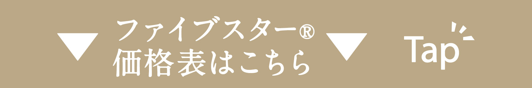 ファイブスター価格表