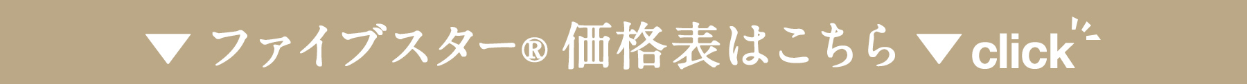 ファイブスター価格表