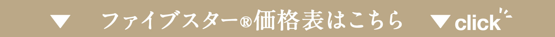 ファイブスター価格表